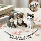 Custom Pet Products