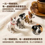 Custom Pet Products
