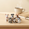 Custom Pet Products
